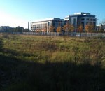 Disused Cardiff land