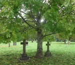 Cathays Cemetery