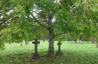Cathays Cemetery