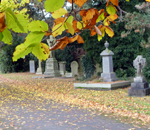 cathays cemetery leaves