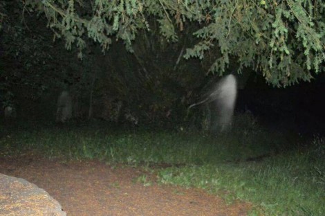 One of the many possible ghost sightings, photographed in July on a walk