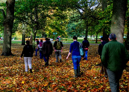 Gathered here today: A congregation of foragers look for food in Bute Park