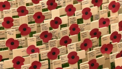 Cardiff’s Field of Remembrance could look very different with Plaid’s Welsh poppy 