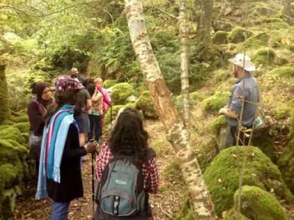 One of Diversity Outdoors favourite locations, Ty Canol Woods, Pembrokeshire