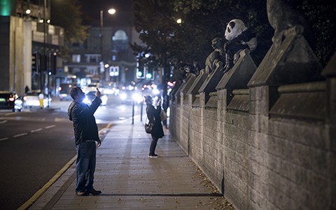 man takes photo of Laura Ford art