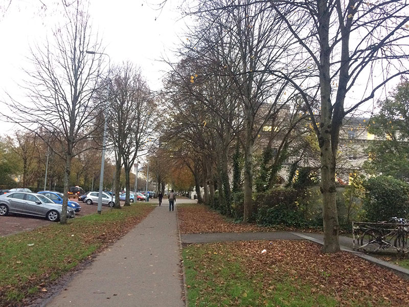 96.3% of people feel safe when walking in the city centre in daylight