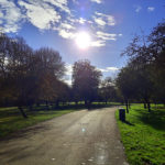 Bute Park, Path, Sunny