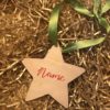 Ty Hafan Christmas star decoration with inscribed name