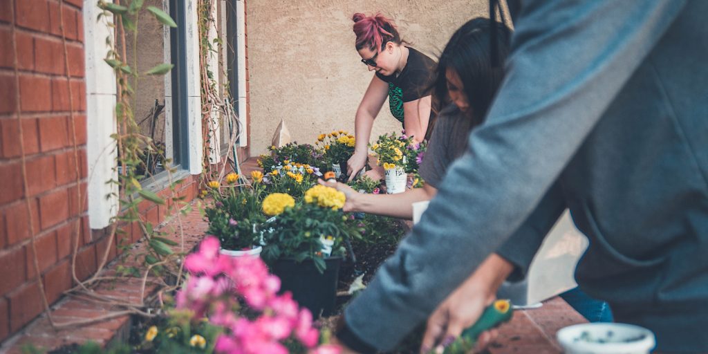 Three people show communal growing as they dig into a community garden patch full of flowers with shovels