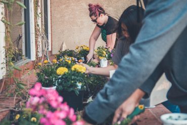 Three people are digging into a garden patch full of flowers with shovels