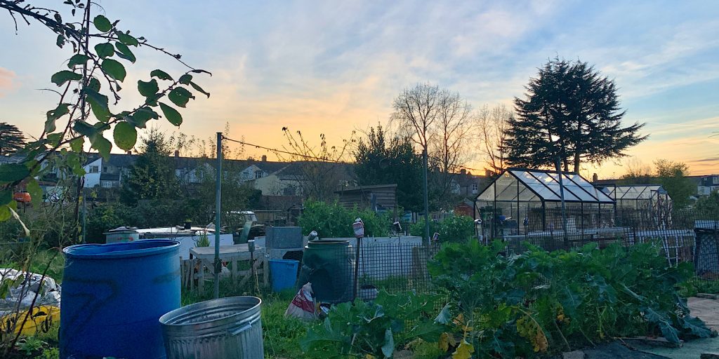 The sun sets behind the community garden of the Global Gardens Project allotment