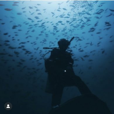 A silhouette of a diver surrounded by fish