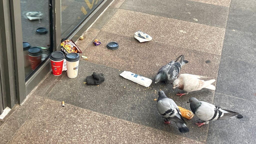 It's a feast for the pigeons in Central Square, not so much for the environment