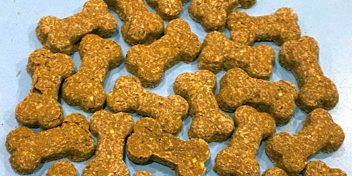 A selection of dog biscuits on a table, created by Flowerhorn Brewery