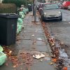 Photo of recycling bins on the street