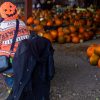 A woman in an orange Halloween jumper and pumpkin beret at Clearwell Farm