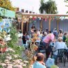 A group of people sat listening to an event in a public gardens