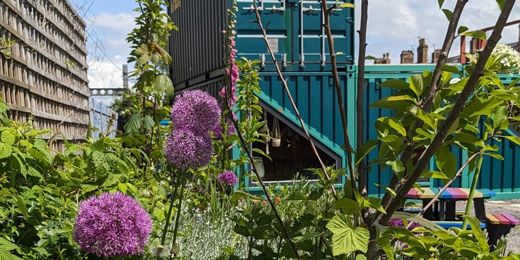 A floral view of a public gardens 