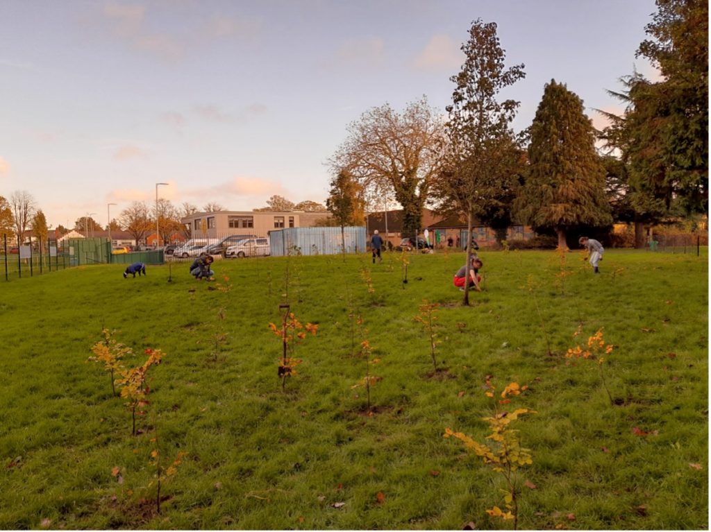 Coed Caerdydd volunteers planting trees at an event