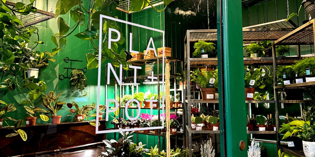 Small business, Plant + Pot, shop front