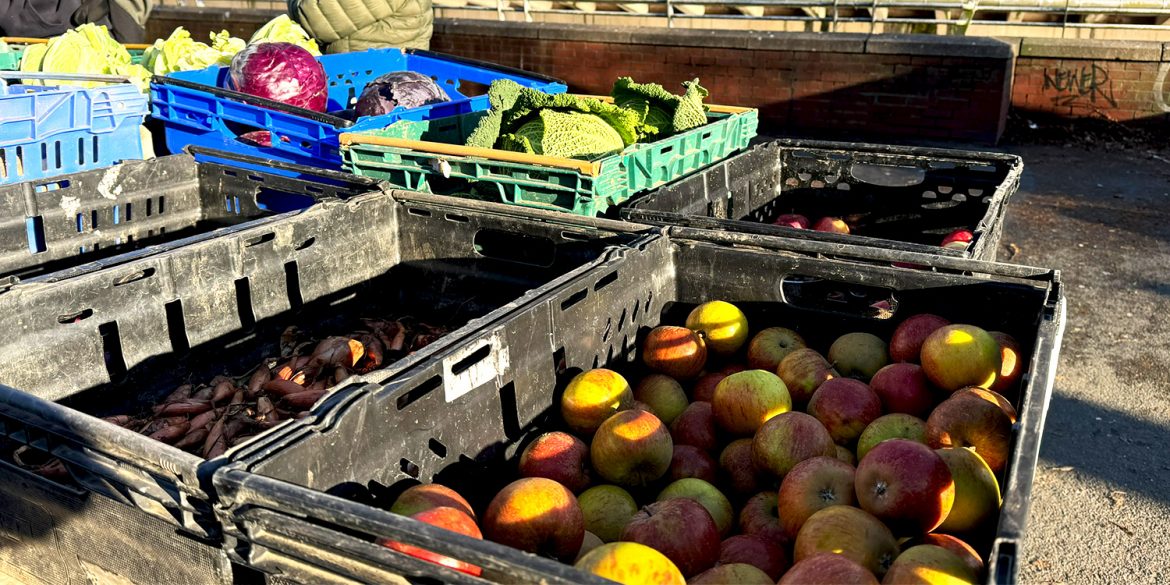 Crates of fresh fruit and vegetables at the farmers market.