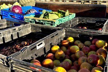 Crates of fresh fruit and vegetables at the farmers market.