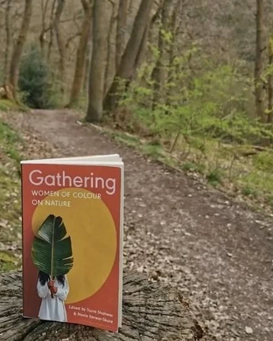 Climate change book called Gathering