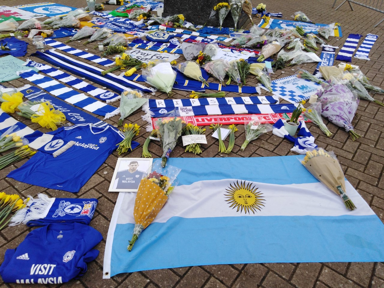 Emiliano Sala Memorial Fund: Cardiff City Fans Have Their Say - Cardiff ...