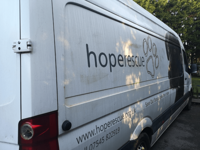 Hope Rescue Cardiff Animal Charity Struggles with High Numbers of Dogs Surrendered ...
