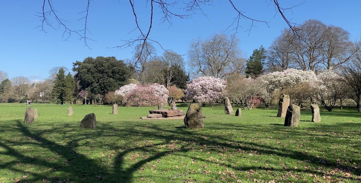 CCTV will be installed at Bute Park