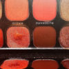 makeup palette by Revolution
