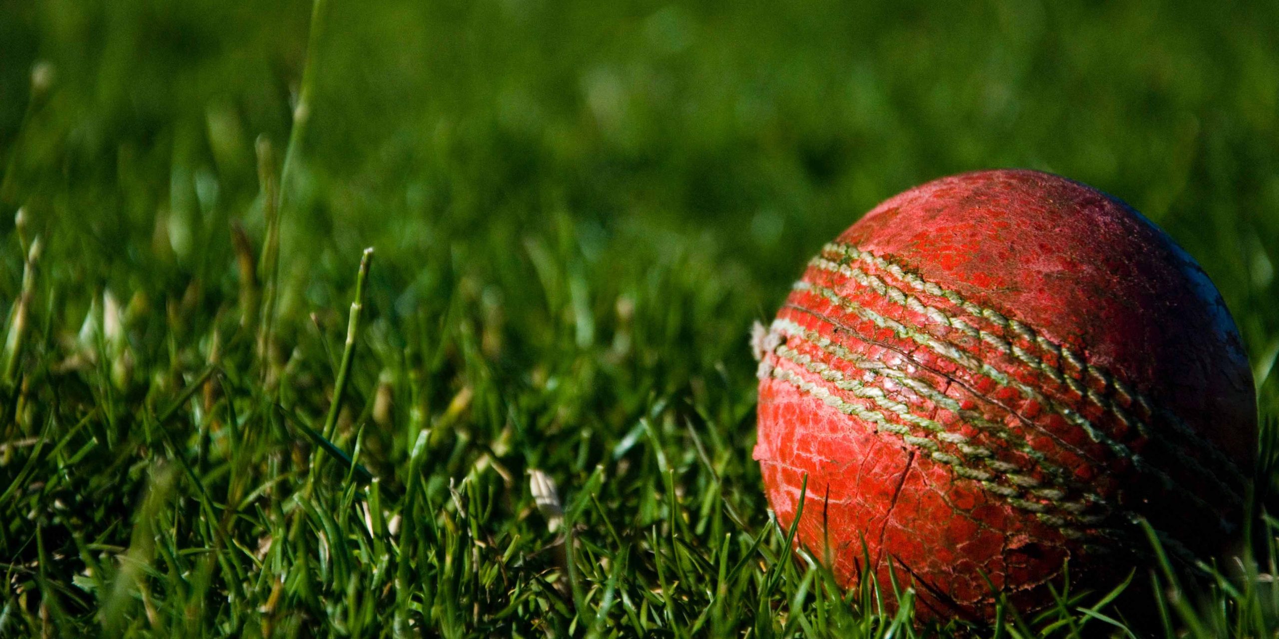 cricket ball on grass