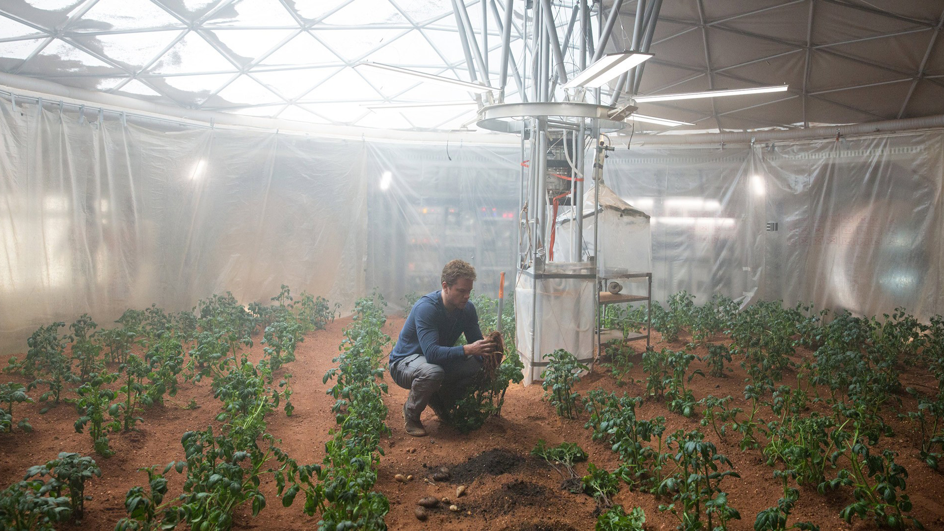 "The greatest botanist" Mark is growing potatoes in human feces to deal with the shortage of food supply in the Mars. (Credit to 20th Century Fox)