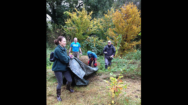 'The Friends of Bute Park' clearing the ground for wild flowers