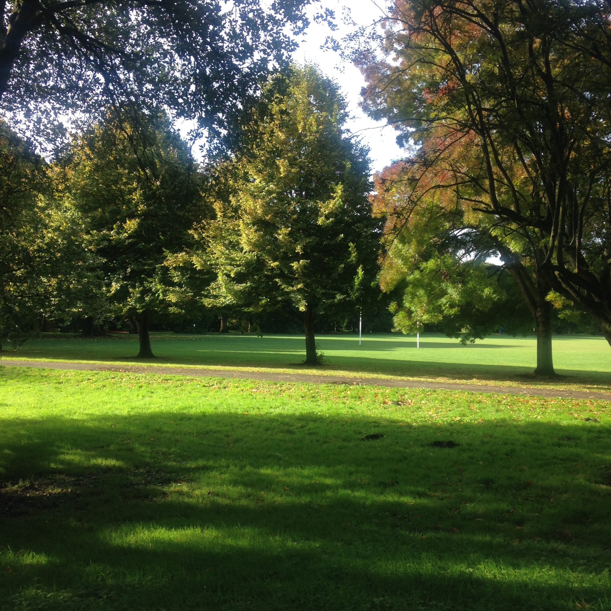 Bute Park, Cardiff's Worst Kept Secret