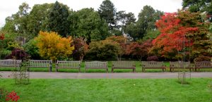 The picnic area next to the rose garden. The path down this area leads to the children play area and the conservatory.