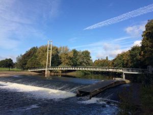 Not only popular with the human and canine populations of Cardiff, the Blackweir bridge is a great place to spot magnificent birds such as cormorants and the grey heron