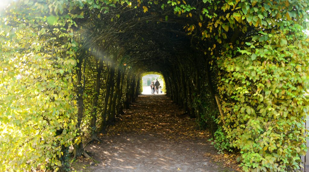 An alley in St Fagan