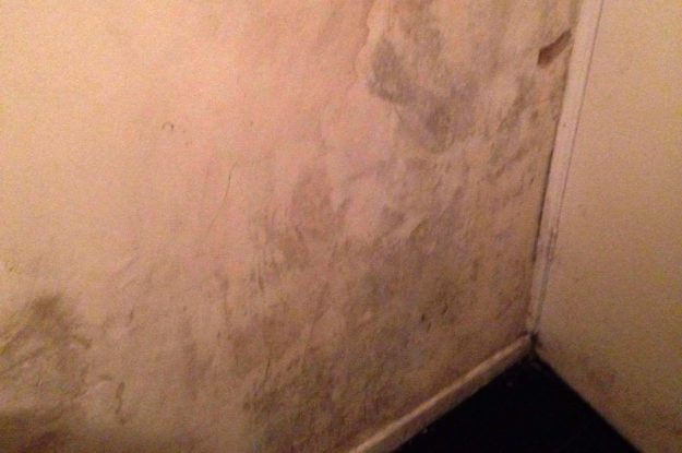 The walls of Megan's bedroom are covered in mould, a health hazard her landlord has done little to combat