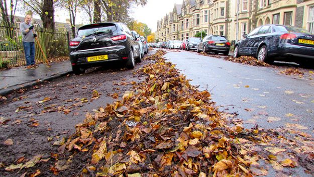 Leaf mounds in the road