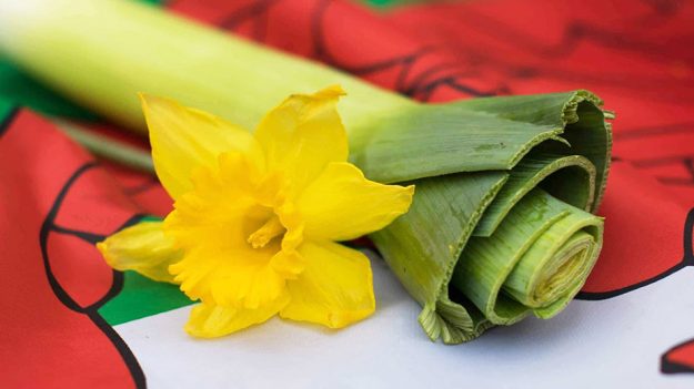 St David's Day 