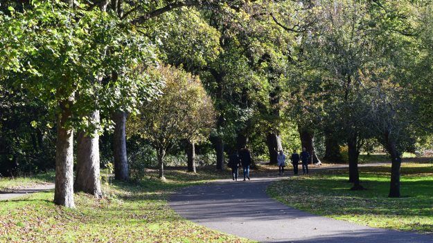 Being in parks is beneficial to mental health, studies say.