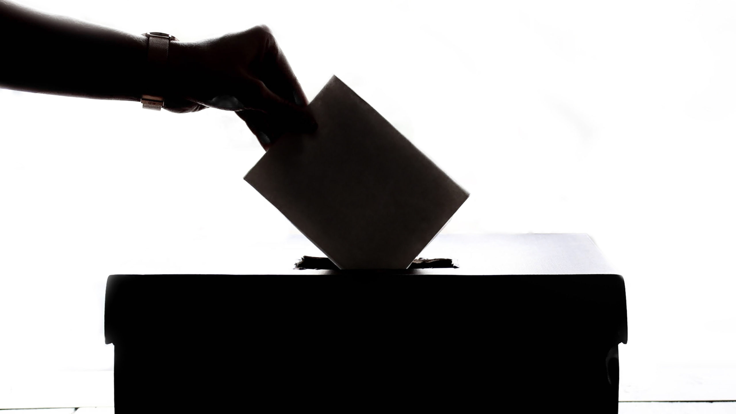 hand putting vote in ballot box silhouette.