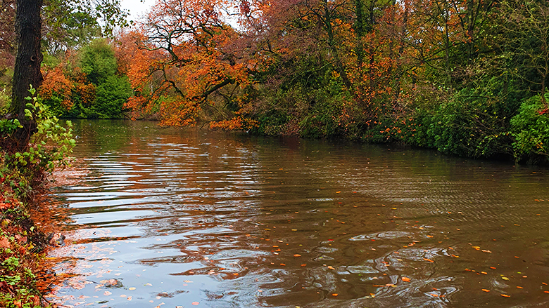 Small stream near Roath Park