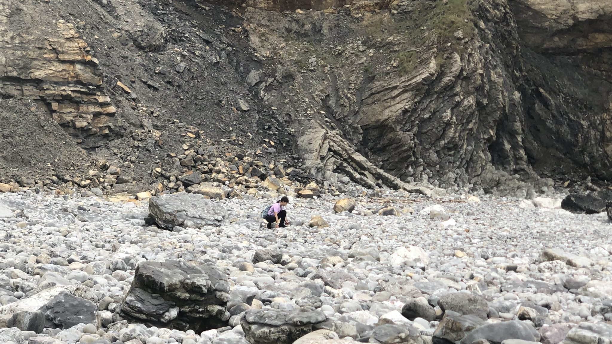 A fossil hunting trip in Wales how to find your first fossil? Life360