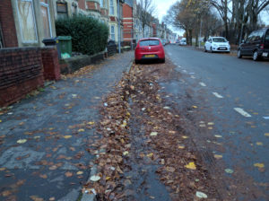 Leaves are left to rot near the drains on Taff Embankment, Grangetown.