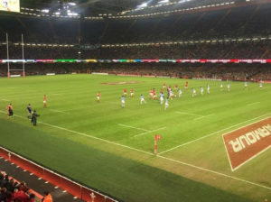 A crowd of 50,000 turned up to see the Wales win