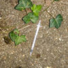 A used needle found in the community garden