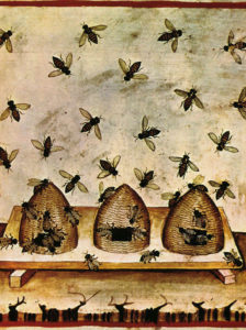 A sketch of traditional beehives made from wicker, as illustrated in a 14th century manuscript. credit: wikimedia