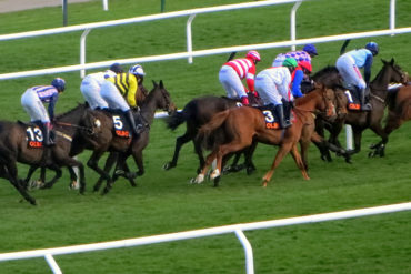 By Carine06 from UK (Quevega's mares' hurdle) [CC BY-SA 2.0 (http://creativecommons.org/licenses/by-sa/2.0)], via Wikimedia Commons
